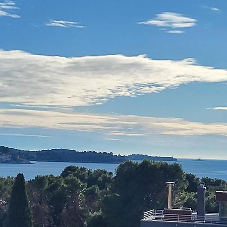 Villa Salvia Rooms And Apartments Rovinj Dış mekan fotoğraf