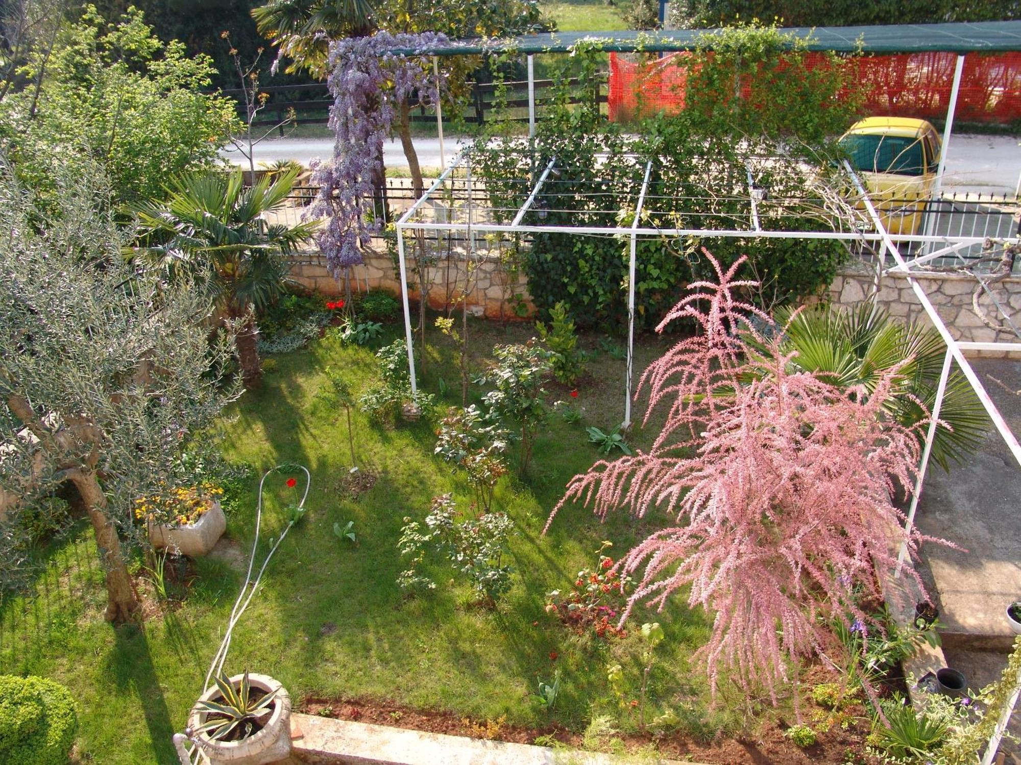 Villa Salvia Rooms And Apartments Rovinj Dış mekan fotoğraf